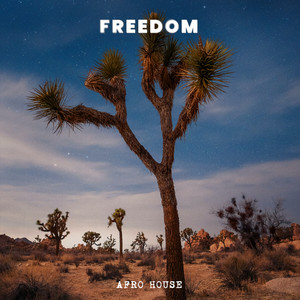 Freedom