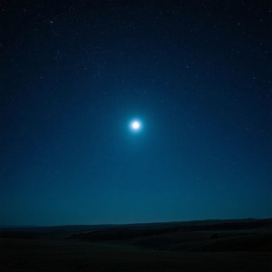 The Night Felt Endless by FUENTES YERA NELSON RE