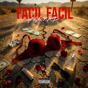 FACIL FACIL by BLACK RD