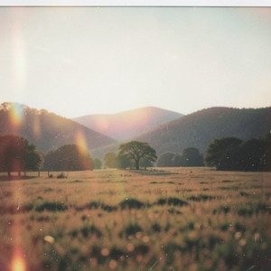 Oaktree by Tape Residue