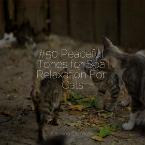 #50 Peaceful Tones for Spa Relaxation For Cats album