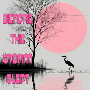 Camta Miss - Before the Storm Slept