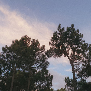 Cascade by Subsets
