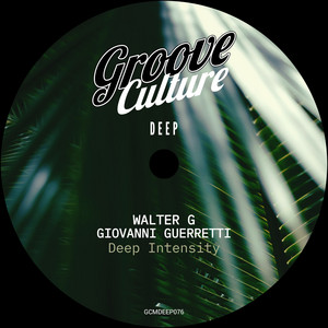 Can U Feel It by Walter G, Giovanni Guerretti