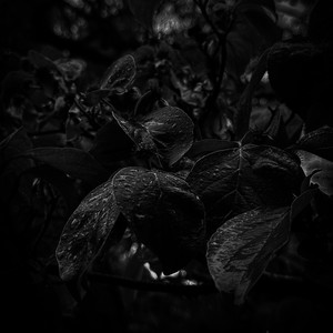 Where Home Once Was - with Thunder and Rain by Matthew C. Wright