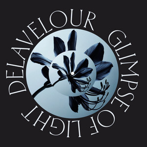 Glimpse of Light - Fred Everything Rework by Delavelour, Fred Everything