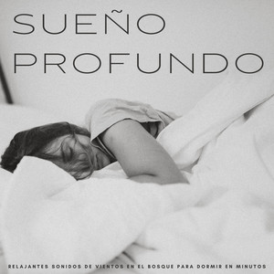 Sueño Profundo: Relajantes Sonidos De Vientos En El Bosque Para Dormir En Minutos album
