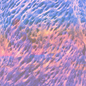 Habitat (Show Me) by Lemonise