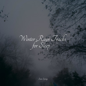 Winter Rain Tracks for Sleep album