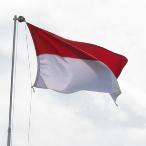 Diky triatmojo - Indonesiaku