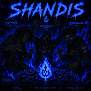 Shandis by CRITICXL, Acknowledge C2D, Blvckmelaninbeatsza
