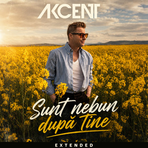 Sunt nebun dupa tine (Extended) cover art