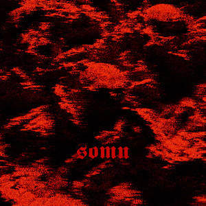 The Loyal Hand by Somn