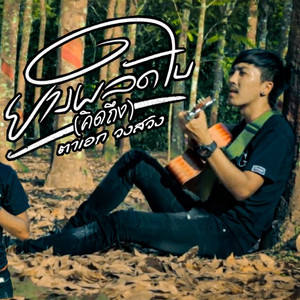 ยางผลัดใบ(คิดถึง)