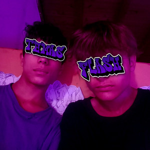 Temas Flash