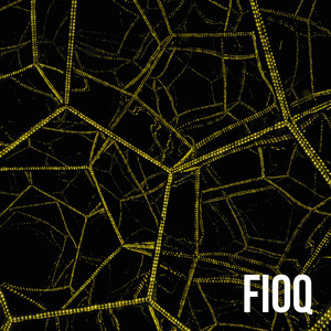 FIOQ - DAYz