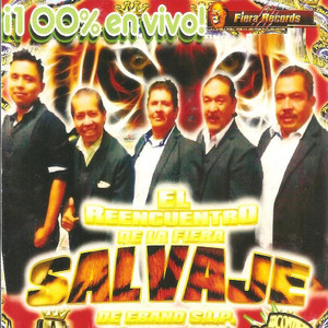 El Reencuentro De La Fiera Salvaje - Intro