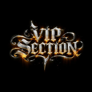 VIP SECTION