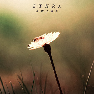Awake by Ethra