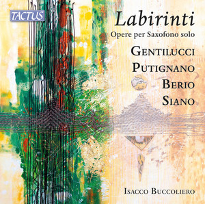 Labirinti — Isacco Buccoliero
