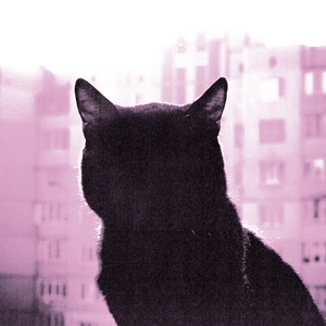 DAY LIMNS — calmaê / citação: baba (2026)