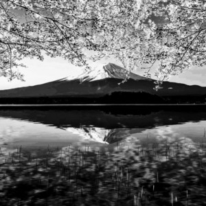 Worthy by Khalid Myfa