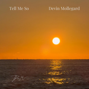 Tell Me So by Devin Mollegard