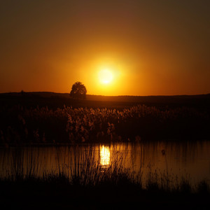 Acoustic Instrumental Vibes - You and Me Forever (Original Motion Picture Soundtrack)