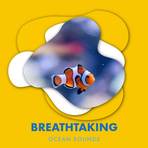 Breathtaking Ocean Sounds Harmonies album