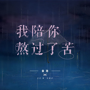 Ada Jin - 我陪你熬过了苦