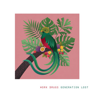 Generation Lost by Work Drugs