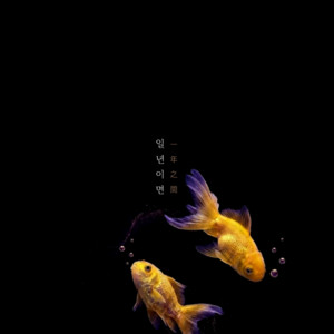 A year gone by 기태, Baek Yeseul