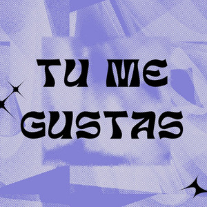 TU ME GUSTAS by LUIS MIGUEL MC