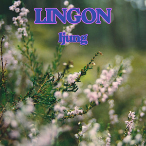 ljung by Lingon