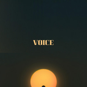 Voice by Einaudi Moldoveanu