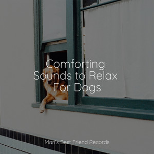 Comforting Sounds to Relax For Dogs album