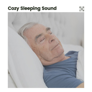 Cozy Sleeping Sound album