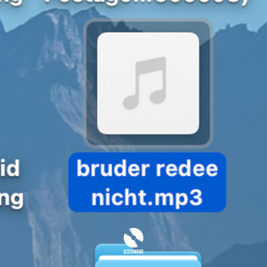 bruder redee nicht.mp3 by Tole, Heini David