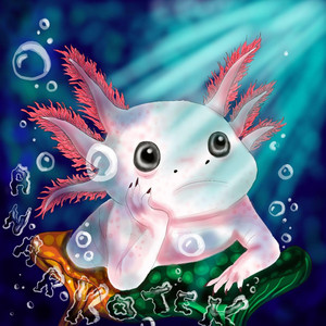 La Mélancolie du Coton by AnarKoTeK