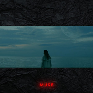 HAWX — Muse