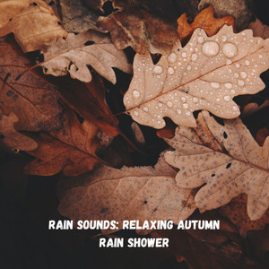 Rain Sounds: Relaxing Autumn Rain Shower album