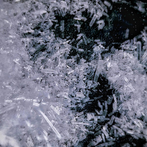 User424 - Schieß mich tot