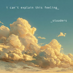i can’t explain this feeling by STUUDERS