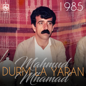 Mahmud Mhamad - Laily