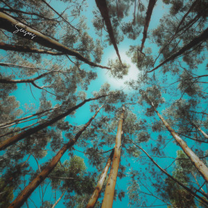 Seasons by Johannes Fresz