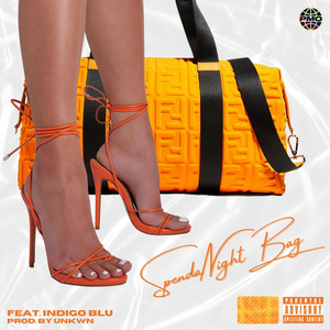 S.DeVahn - SpendaNightBag (feat. Indigo Blu)