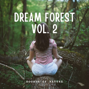 Sounds of Nature: Dream Forest Vol. 2 album
