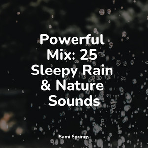 Powerful Mix: 25 Sleepy Rain & Nature Sounds album