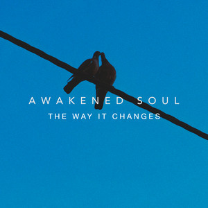 The Way It Changes by Awakened Soul