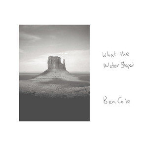 Cactus (Spanish) [feat. Elizandra] - song and lyrics by Ben Cole, Elizandra  | Spotify